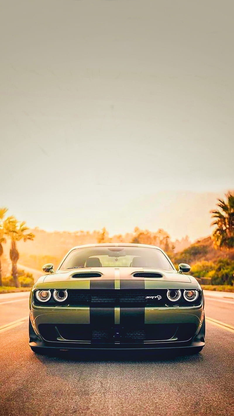 Luxury Car